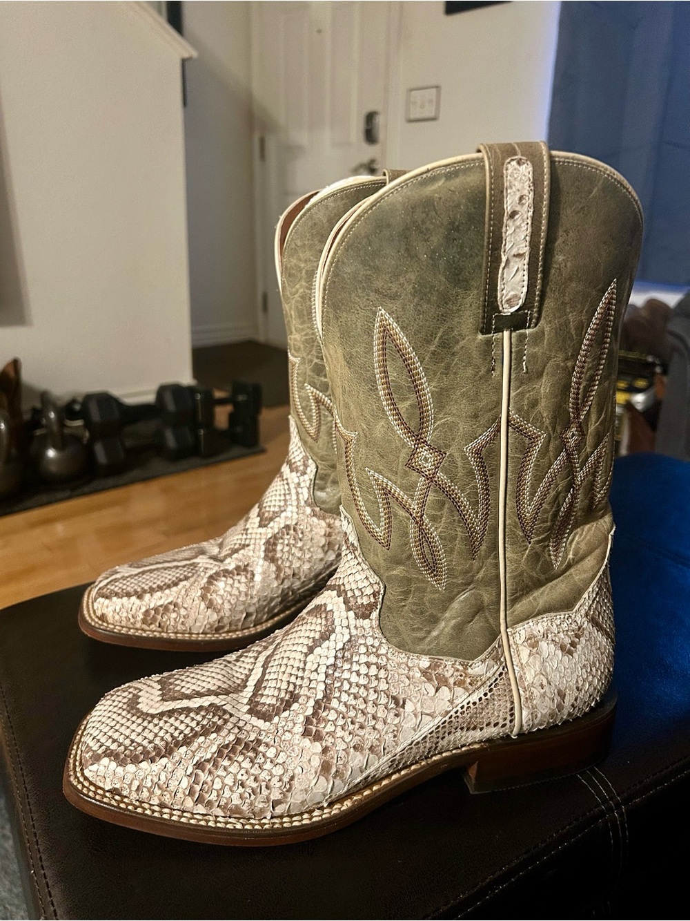 Dan Post Men’s Genuine Exotic Python Boots